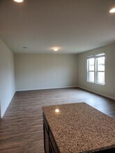 11805 Amber Stream Ln in Manor, TX - Building Photo - Building Photo