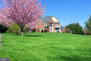 13031-13012 12 Hills Rd in Clarksville, MD - Building Photo