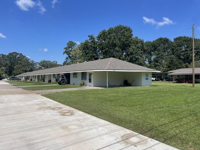 property at 12513 Forrest Braud Ln