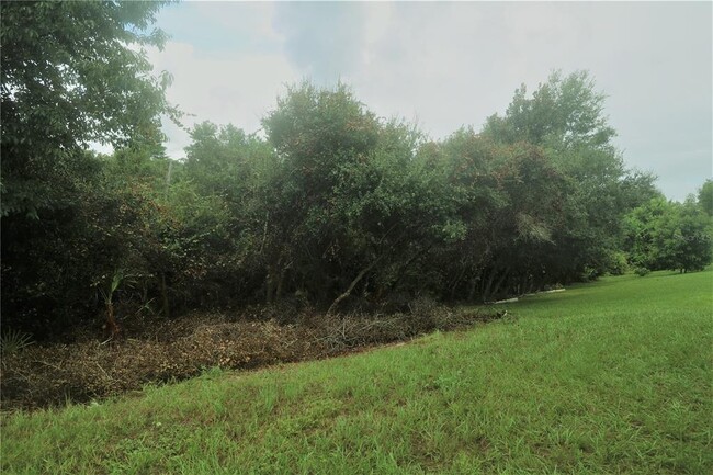 3073 Twinleaf Ave in Deltona, FL - Building Photo - Building Photo