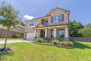 5 Iris Arbor Ct in Conroe, TX - Building Photo