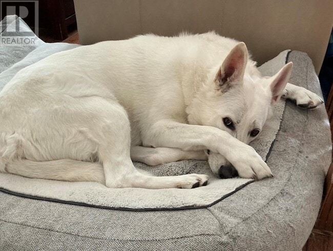 property at 361 Linden St