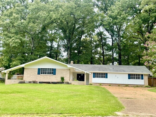 53 Summit Ridge Dr in Brandon, MS - Building Photo - Building Photo