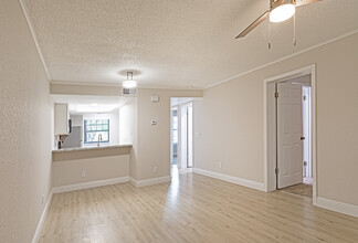 Palm Flats Apartments in Tampa, FL - Building Photo - Interior Photo