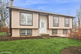 23726 N Overhill Dr in Lake Zurich, IL - Building Photo