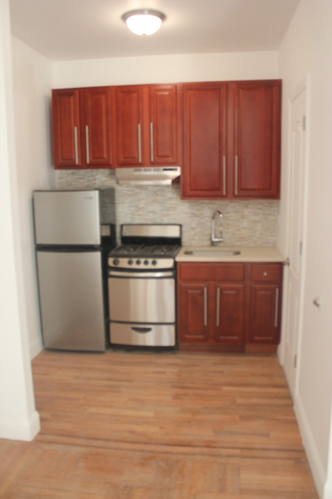 Newly Renovated 1 Bedroom in Brooklyn, NY - Foto de edificio