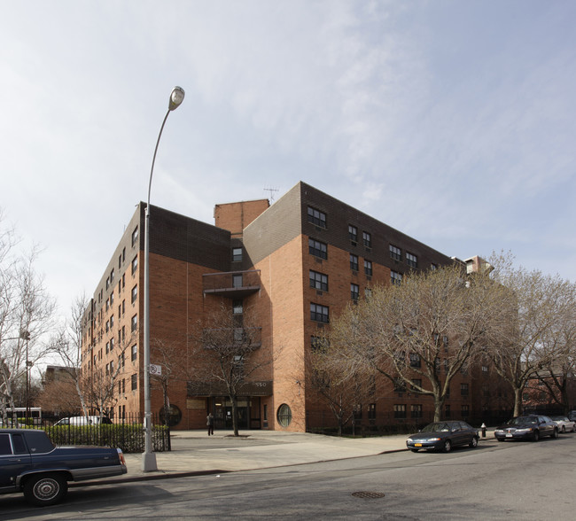 Cornerstones Sandy F Ray Senior Housing in Brooklyn, NY - Building Photo - Building Photo