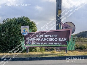 36702 Olive St in Newark, CA - Building Photo - Building Photo