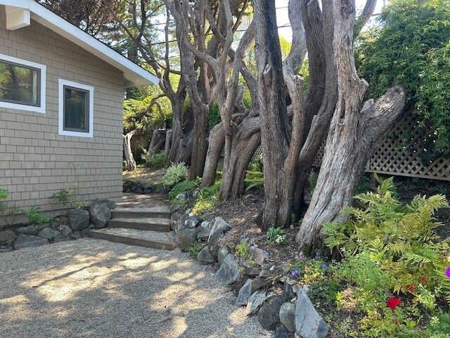 77 Mirabel Ave in Mill Valley, CA - Building Photo - Building Photo