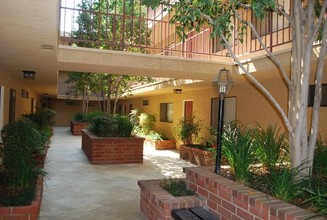 3709 Watseka Ave Apartments in Los Angeles, CA - Building Photo - Building Photo