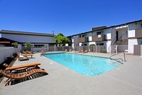 Pool - Tides on Thomas Apartments in Phoenix, Arizona