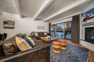 450 S Pine St in Telluride, CO - Building Photo