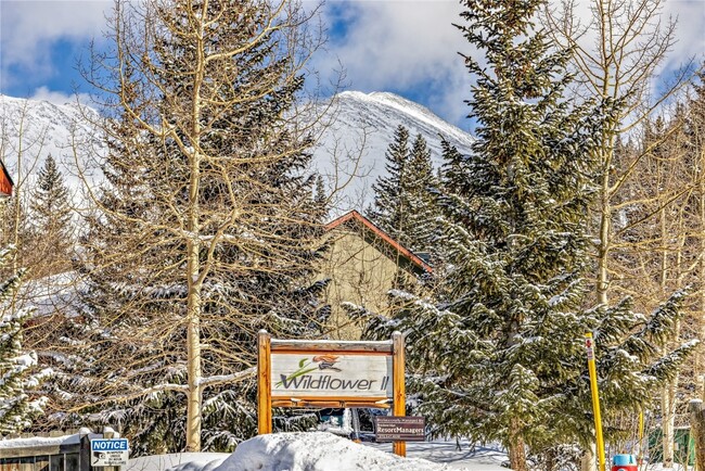 property at 300 Illinois Gulch Rd