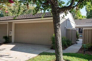 1116 Silver Oak Ct in San Jose, CA - Building Photo