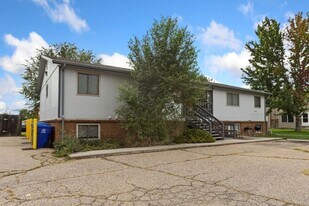 1804 Lily Pl in Loveland, CO - Building Photo