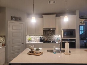 1733 Turtle Bay Loop in Leander, TX - Building Photo - Building Photo
