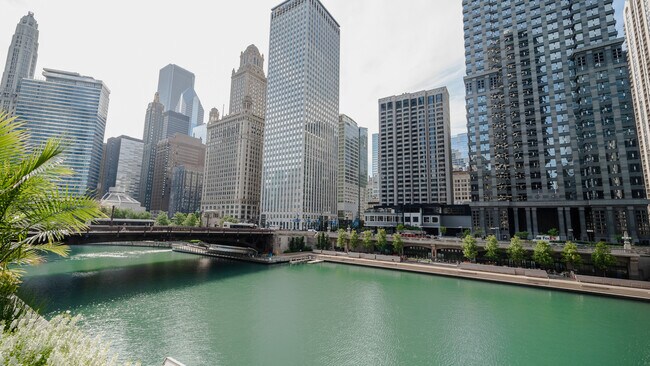 300 N State St, Unit 4330 in Chicago, IL - Building Photo - Building Photo