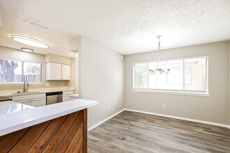 7411 Skylight Ln in Houston, TX - Building Photo - Building Photo