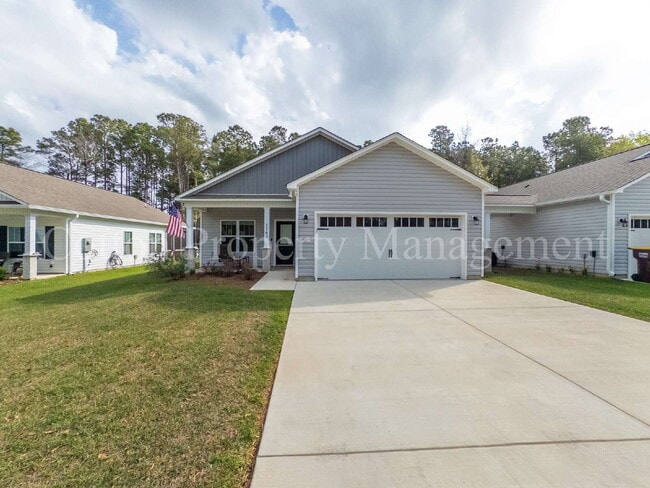 1163 Dan Owen Dr in Hampstead, NC - Building Photo - Building Photo