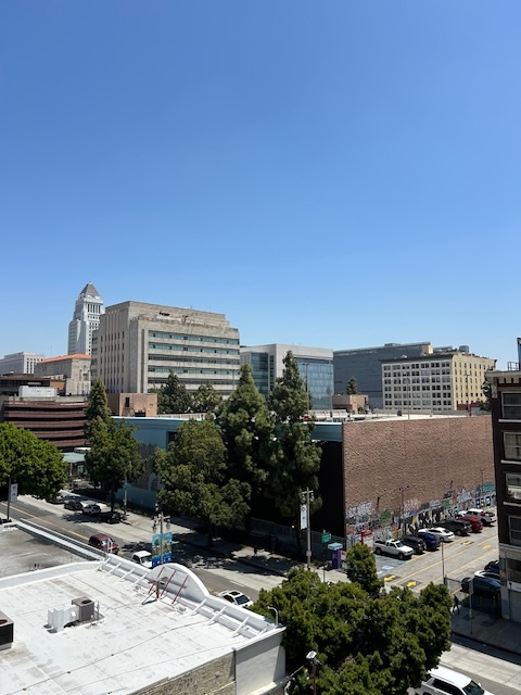 253 S Broadway in Los Angeles, CA - Foto de edificio