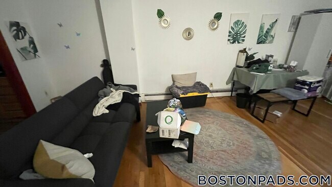871 Harrison Ave in Boston, MA - Building Photo - Building Photo