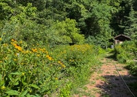Apartamentos en Forest Park, GA