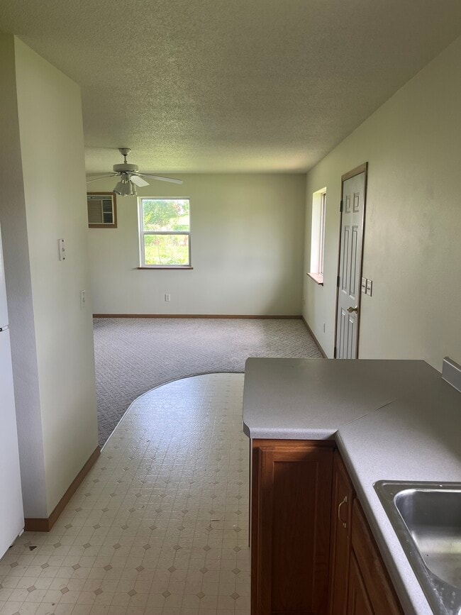 106 W South St, Unit 106 in Williamsburg, IA - Building Photo - Building Photo