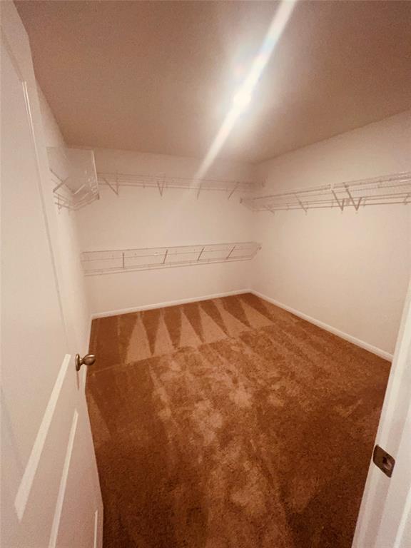 137 Dupont Pass in Jarrell, TX - Building Photo - Building Photo
