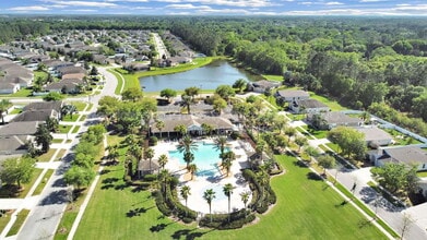 7603 Crescent Palm Dr in Wesley Chapel, FL - Building Photo - Building Photo