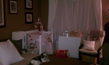 41 Seton Hall Dr in Newark, NJ - Foto de edificio - Building Photo