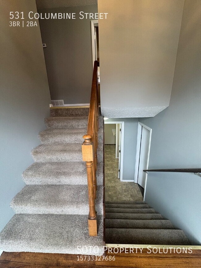 531 Columbine St in Cape Girardeau, MO - Building Photo - Building Photo