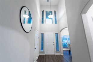 13416 Silver Egret Ln in Texas City, TX - Building Photo