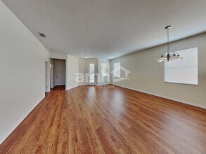 19554 Timberbluff Dr in Land O Lakes, FL - Foto de edificio - Building Photo