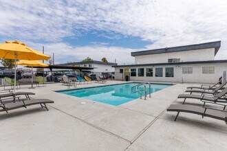 Luna Bear 454 West Brown Apartments in Mesa, AZ - Building Photo - Building Photo