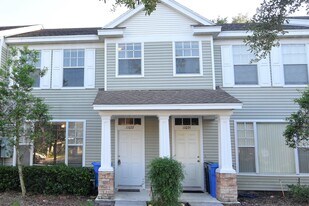 11037 Black Swan Ct in Seffner, FL - Building Photo