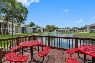 49th Street Apartments in Pinellas Park, FL - Building Photo - Building Photo