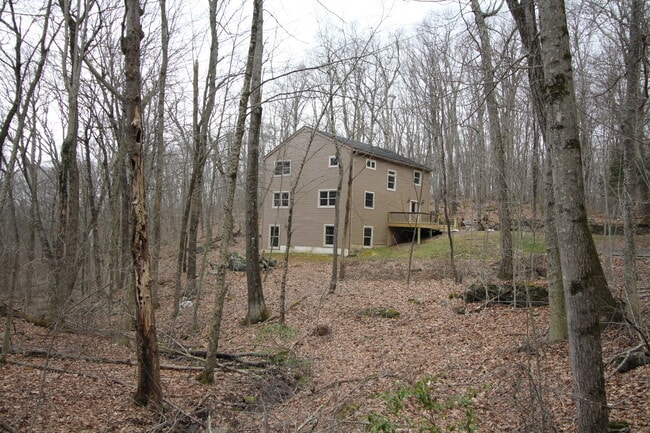 38 W Mountain Ln in Roxbury, CT - Foto de edificio - Building Photo
