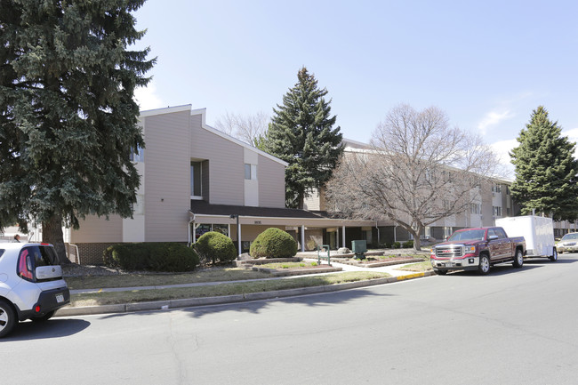 Fir Tree in Colorado Springs, CO - Building Photo - Building Photo