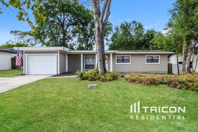 property at 357 Banyan Dr