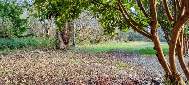 711 N Third St in Westport, WA - Building Photo - Building Photo