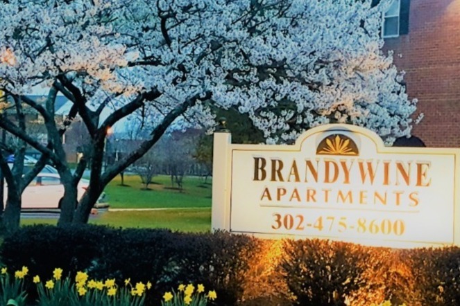 Brandywine Apartments in Wilmington, DE - Foto de edificio