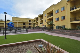 Ocean Street Apartments in Santa Cruz, CA - Building Photo - Building Photo