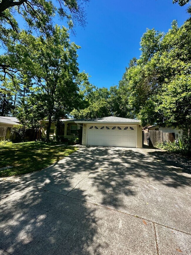 property at 1349 Camphor Ln
