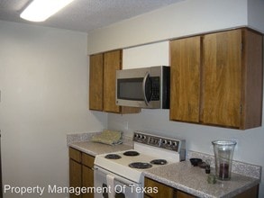 114 E 31st St-Unit -Unit 207 in Austin, TX - Building Photo - Building Photo