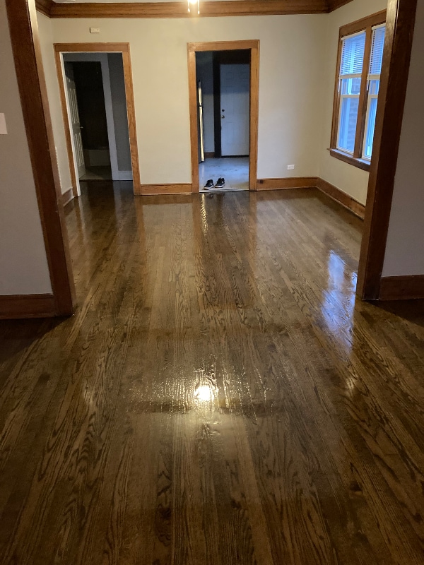 10717 S Indiana Ave in Chicago, IL - Building Photo - Building Photo