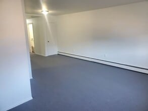 1143 E Sydney St in Philadelphia, PA - Building Photo - Building Photo