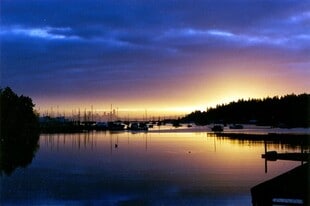 6246 NE Eagle Harbor Dr, Unit Apt. A in Bainbridge Island, WA - Building Photo