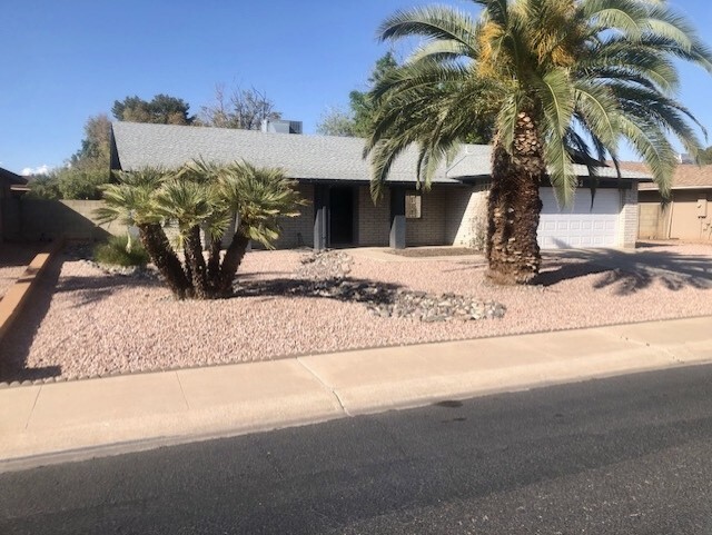 4532 W Aster Dr in Glendale, AZ - Building Photo - Building Photo