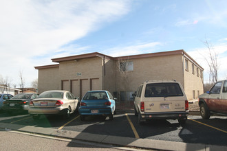 504 Windsor Ln in Fountain, CO - Building Photo - Building Photo