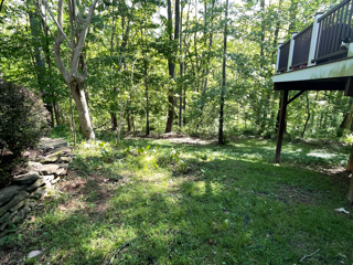 10614 Samaga Dr in Oakton, VA - Building Photo - Building Photo